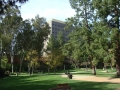 UCLA